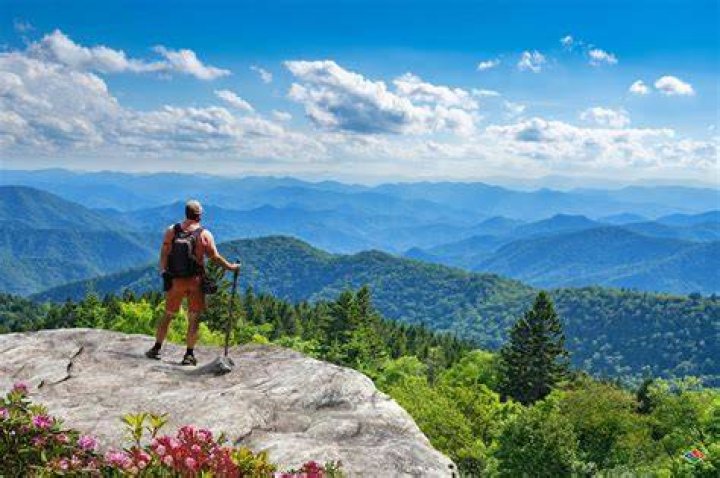 Best Hikes and Trails in Hattiesburg AllTrails
