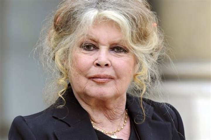 Brigitte Bardot diz que pandemia da Covid19 é positiva para controlar