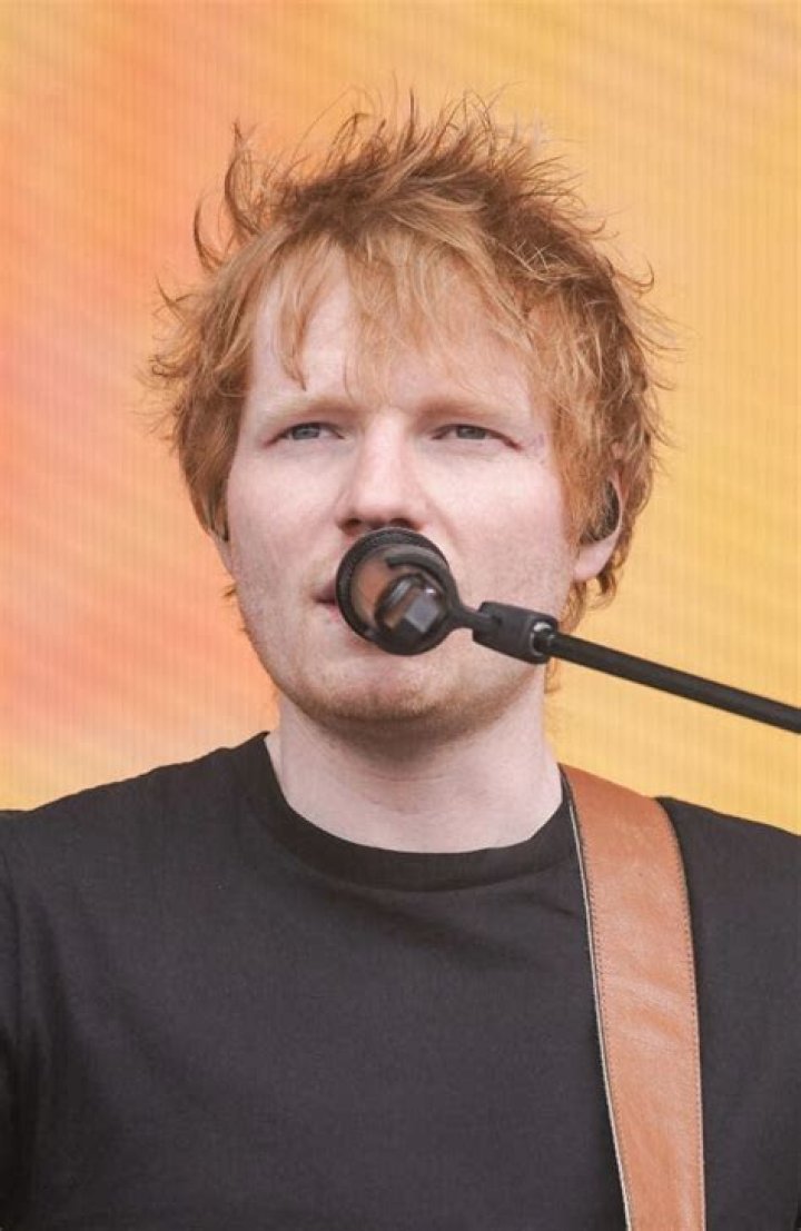 Ed Sheeran&rsquo;s father shares details of his life in art in speech at