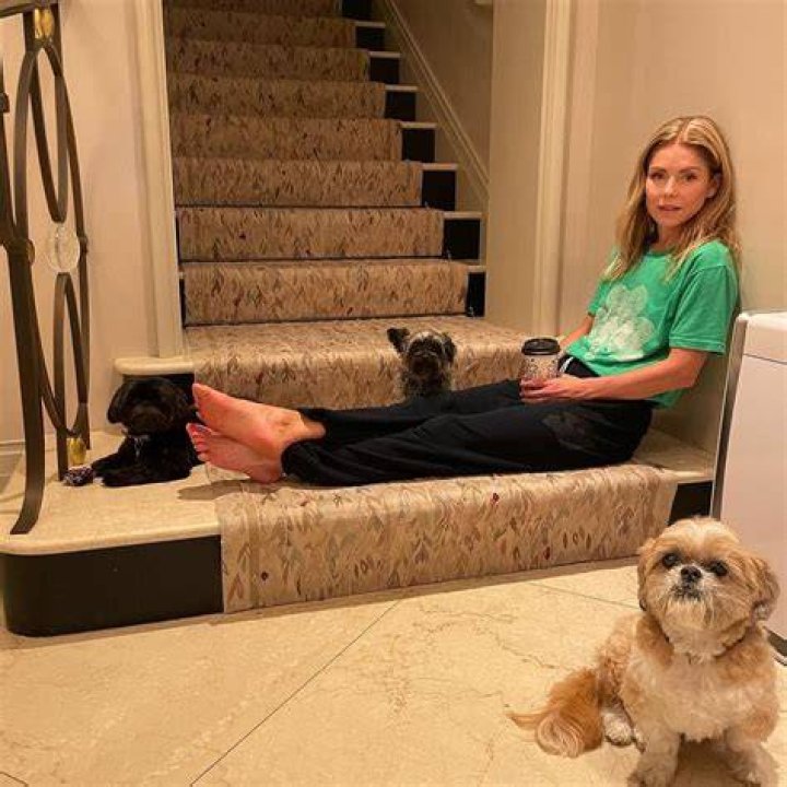 Explore The Enigmatic Charm Of Kelly Ripa's Feet