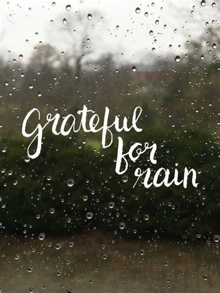 Grateful for rain quote. Raindrop quote. Raindrops quotes, Rainy day