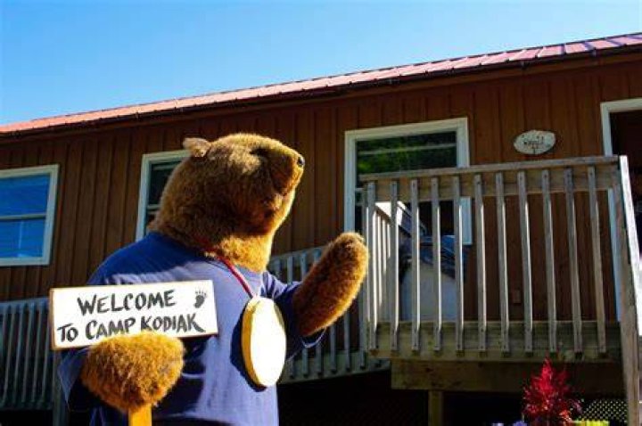 Home &bull; Camp Kodiak