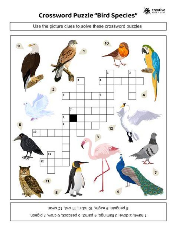 Large flightless bird Crossword Clue Puzzle Page |