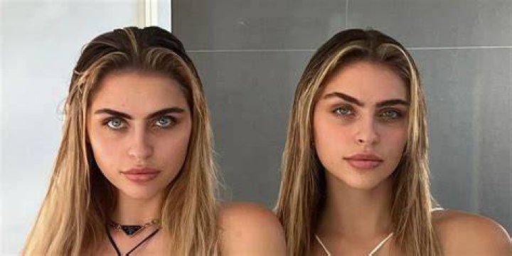 lauren hamden 🦋 on Twitter "Shoot your web at me ? https//t.co