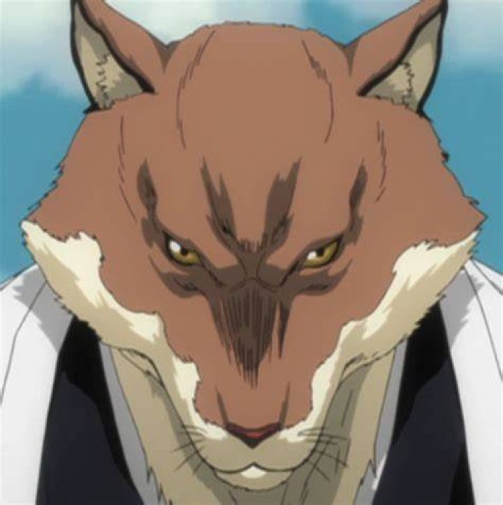 Sajin Komamura Bleach Wiki Fandom