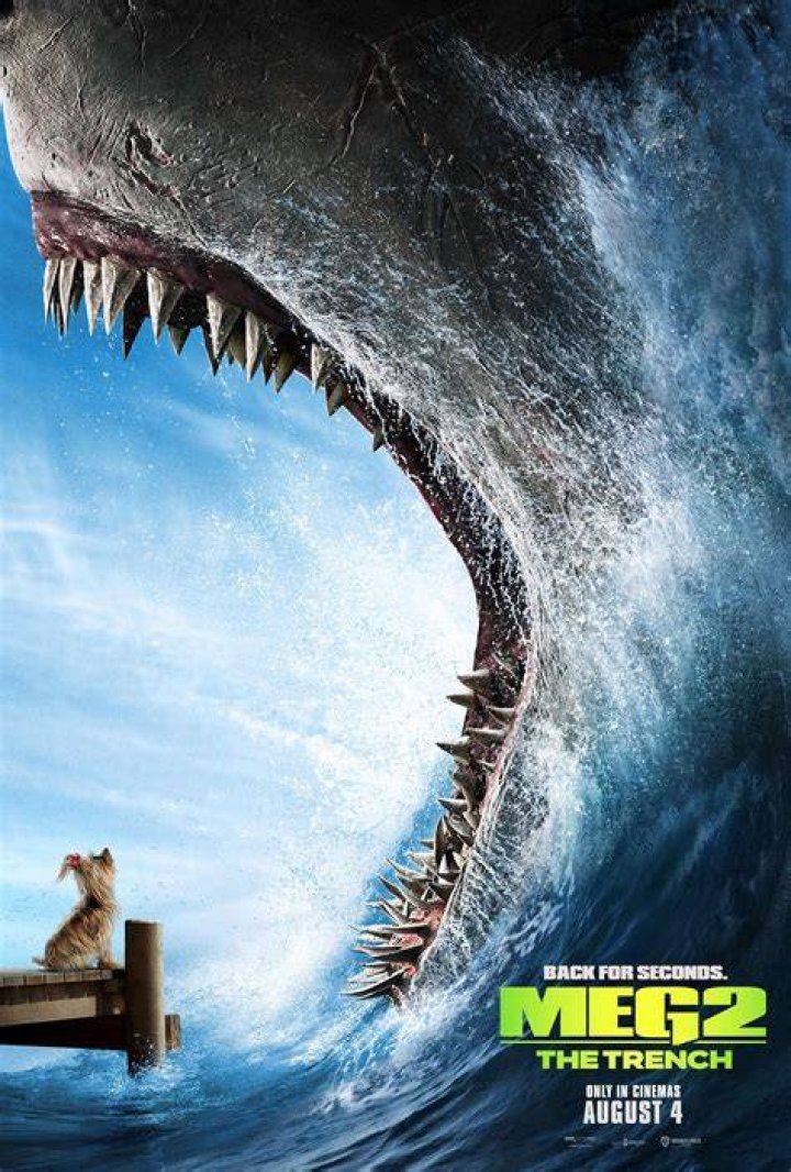 THE MEG 2 Is Coming KinoCheck News YouTube