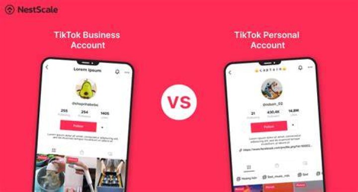 TikTok Business Account vs Personal Which Is Right for You? [Nov 2023 ]