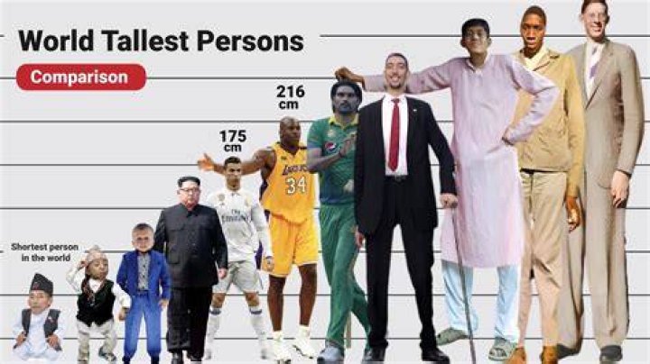 Top 8 how tall is toosii best, don't miss Electronic Documents