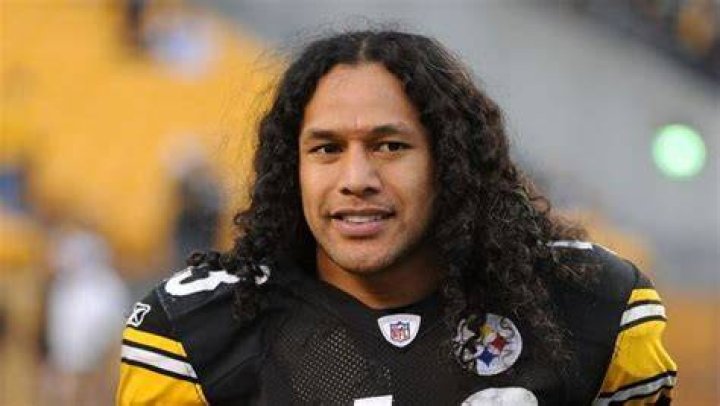 Troy Polamalu Net Worth Legacy Of Fame And Finance [2024]
