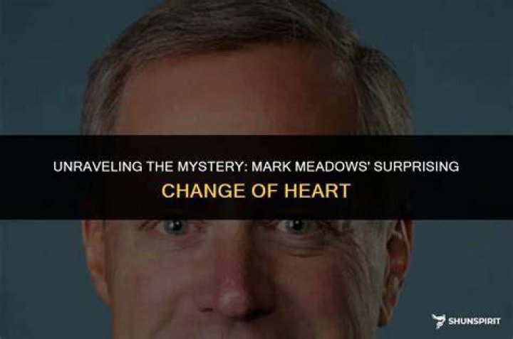 Unraveling The Mystery: Mark Englisby's Disappearance And The Search For Truth